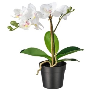 Artificial potted plant, Orchid white, 9 cm